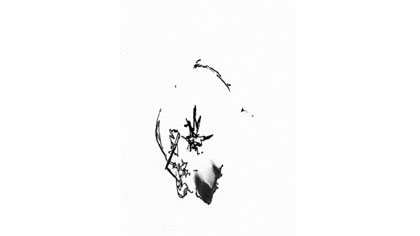 From a drawing sequence in Flight animate! commission © Dryden Goodwin 2005