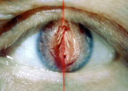 Story of I © Jo Ann Kaplan 1997