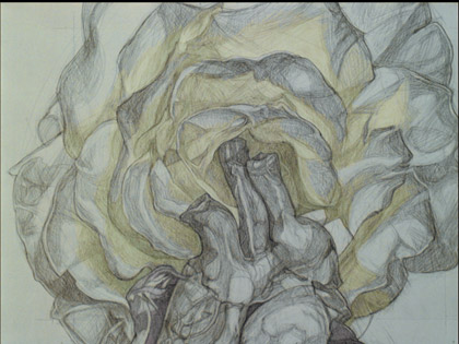 An Anatomy of Melancholy, still