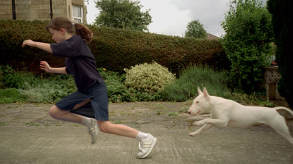 Animal Tragic, still