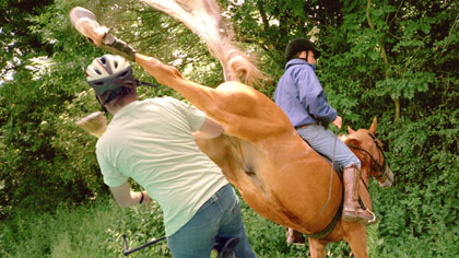 Animal Tragic, still