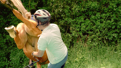 Animal Tragic, still