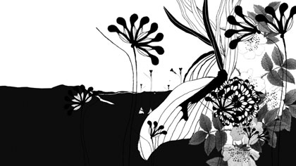 As the Crow Flies, still