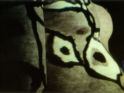 Body Projections, still