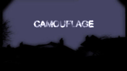 Camouflage, still