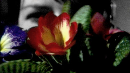 Half Life, still: She has been cultivating a colourful little allotment in the filing cabinet