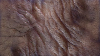 The Old Fools, still: skin crack