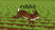 Rabbit, still