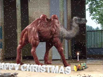Season's Greetings, still