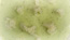 Black, White & Green – the way of pie, still 21: “And behind those people is a wavy expanse of big fat rocks.”