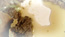 Black, White & Green – the way of pie, still 24: “Looks very hot there… Very hot…”