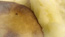 Black, White & Green – the way of pie, still 32