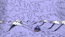 Camouflage, still 5