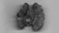 doubled up, still 20: Scan of a walnut. I really enjoyed doing this sequence. I used lots of scanned nuts to mimic the grainy, surreal look of the image you see whilst the foetuses are being scanned with ultrasound.
