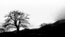 Half Life, still 32: The booming fallout scours the barren landscape (North Wales)