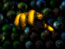 LMX Spiral, still 29: After all, someone’s got to win…it could be you?