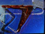 SKZCP, still 7